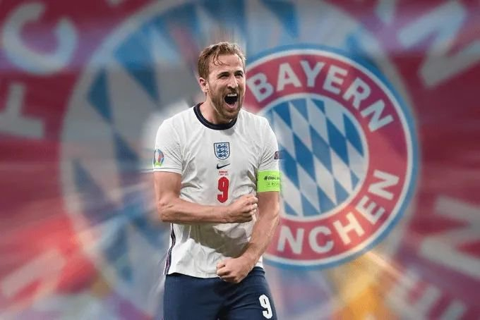 张本智和再 张本智和再